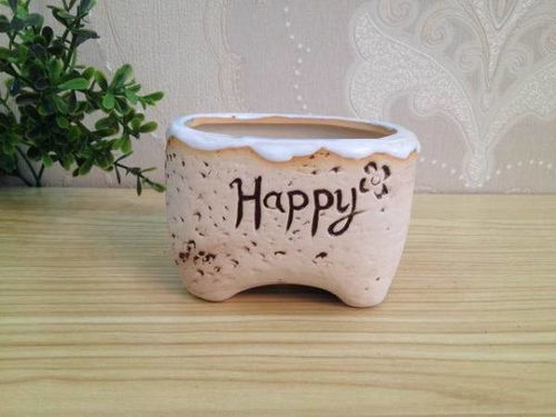 手工花盆種類大全與選購技巧解析